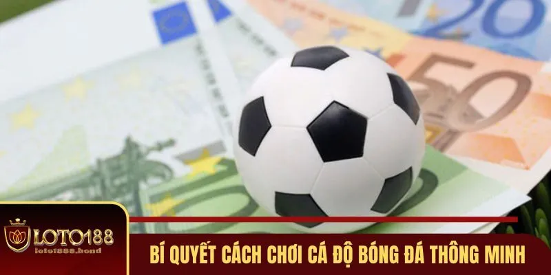 Cách Chơi Cá Độ Bóng Đá Không Thua Và Thắng Lớn Tại Loto188 4 Mẹo cách chơi cá độ bóng đá không thua lỗ khi tham gia