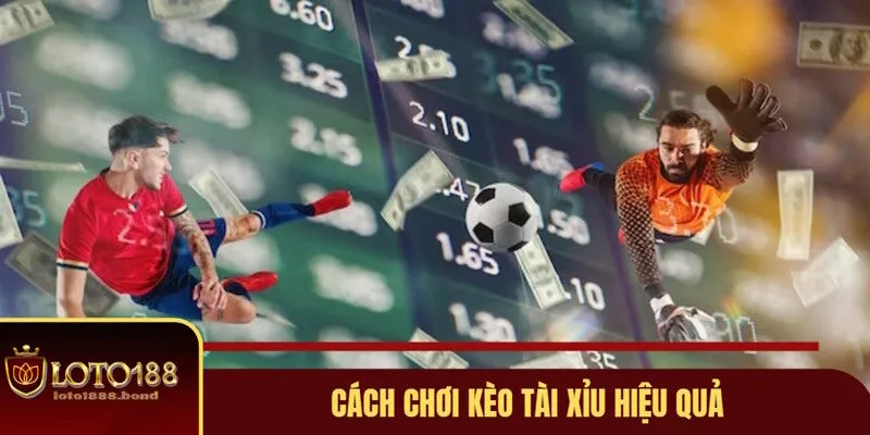 Kèo Tài Xỉu Là Gì? Loto188 Mách Bạn Cách Đọc Những Tỷ Lệ Tài Xỉu 4 Chia sẻ mẹo cá cược kèo tài xỉu thắng lớn từ cao thủ