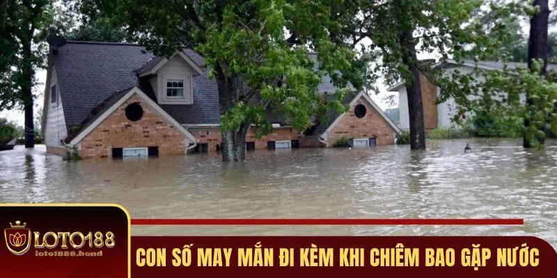 Nằm Mơ Thấy Nước Đánh Số Gì - Giải Mã Ý Nghĩa Cụ Thể Tại Loto188 4 Con số may mắn đi kèm khi chiêm bao gặp nước