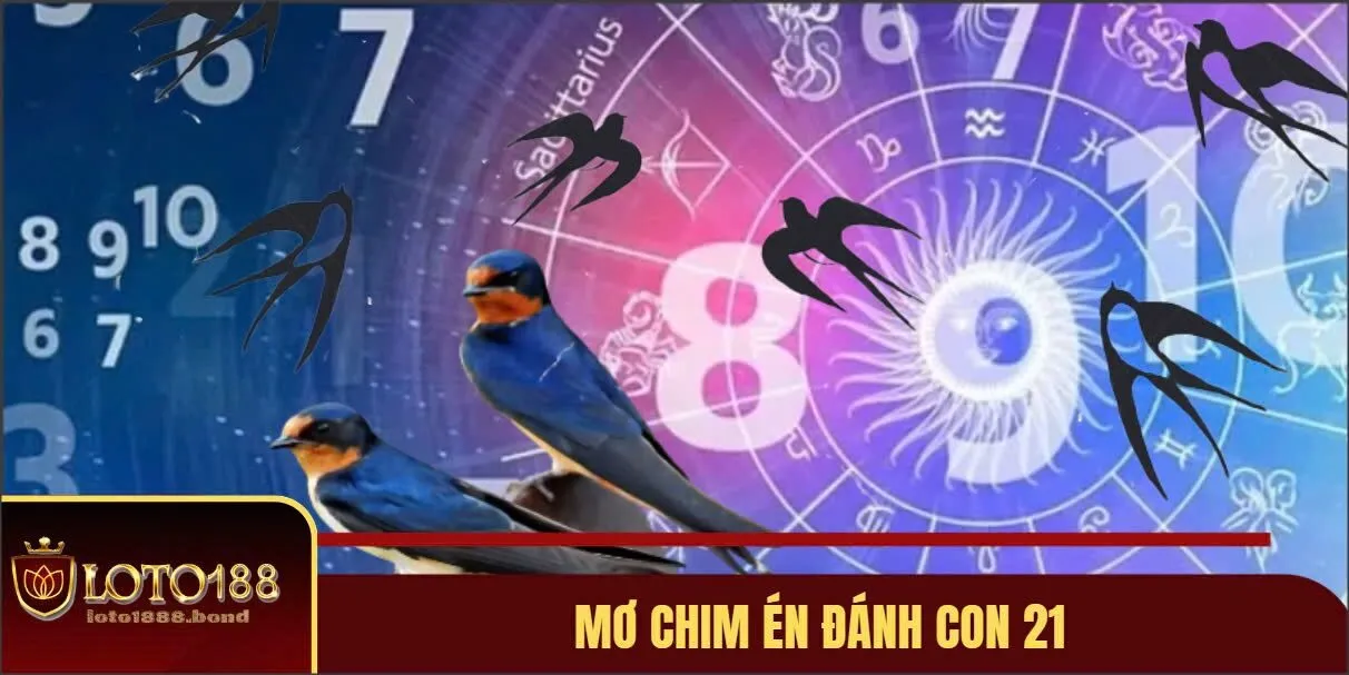 Nằm Mơ Thấy Chim Đánh Số Gì? Kinh Nghiệm Chốt Số Chuẩn Cùng Loto188 3 Mơ chim én đánh con 21