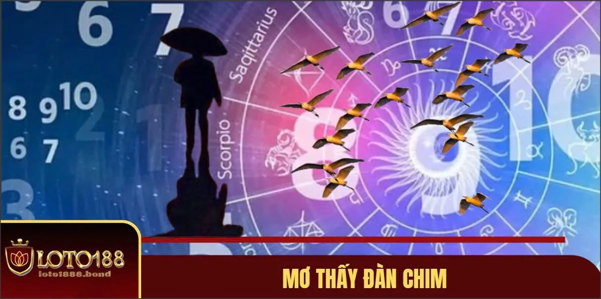 Nằm Mơ Thấy Chim Đánh Số Gì? Kinh Nghiệm Chốt Số Chuẩn Cùng Loto188 2 Luận giải nằm mơ thấy chim đánh số gì?
