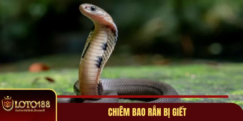 Mơ Thấy Rắn Đánh Con Gì? Gợi Ý Lô Đề Dễ Nổ Từ Chuyên Gia Loto188 5 Chiêm bao rắn bị giết và những thông tin thú vị