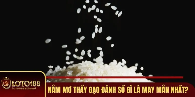 Nằm Mơ Thấy Gạo Đánh Số Gì? Bật Mí Những Con Số Tài Lộc Tại Loto188 2 Nằm mơ thấy gạo đánh số gì là may mắn nhất?