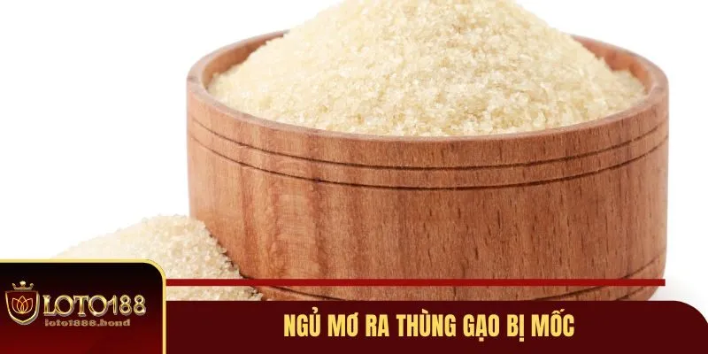 Nằm Mơ Thấy Gạo Đánh Số Gì? Bật Mí Những Con Số Tài Lộc Tại Loto188 3 Ngủ mơ ra thùng gạo bị mốc