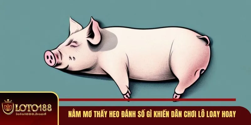 Nằm Mơ Thấy Heo Đánh Số Gì? Giải Mã Ý Nghĩa Số Học Tại Loto188 4 Nằm mơ thấy heo đánh số gì khiến dân chơi lô loay hoay