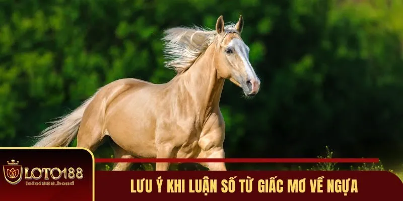 Nằm Mơ Thấy Ngựa Đánh Số Gì? Giải Mã Ngay Để Bắt Lấy Vận May Với Loto188 4 Lưu ý khi luận số từ giấc mơ về ngựa