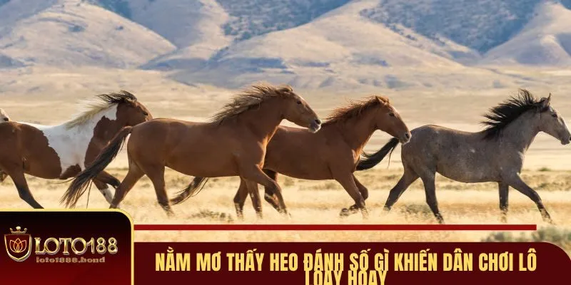 Nằm Mơ Thấy Ngựa Đánh Số Gì? Giải Mã Ngay Để Bắt Lấy Vận May Với Loto188 3 Giấc mơ cưỡi ngựa mang ý nghĩa về trách nhiệm mới